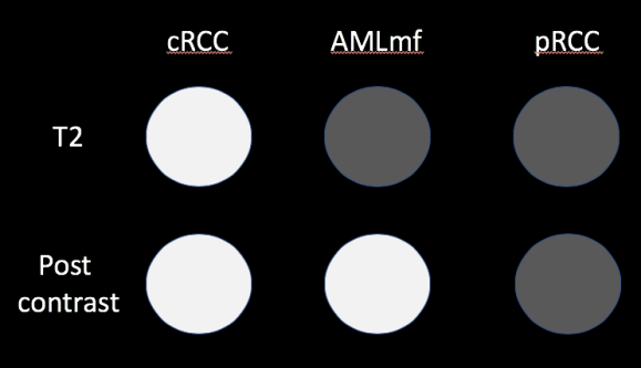 Screen Shot 2019-06-19 at 1.24.43 AM