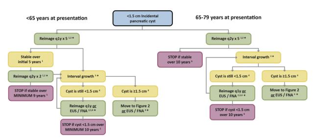 Screen Shot 2019-11-08 at 12.35.31 AM