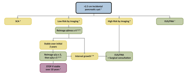 Screen Shot 2019-11-08 at 12.36.15 AM