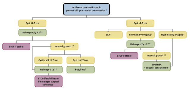 Screen Shot 2019-11-08 at 12.36.27 AM