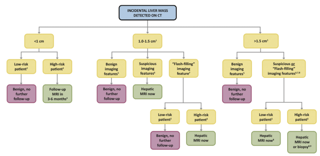 Management of Hepatic Incidentalomas: ACR Recommendations – Cafe Roentgen