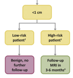 Screen Shot 2019-11-09 at 12.32.18 AM