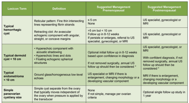 Screen Shot 2019-11-10 at 11.08.34 PM