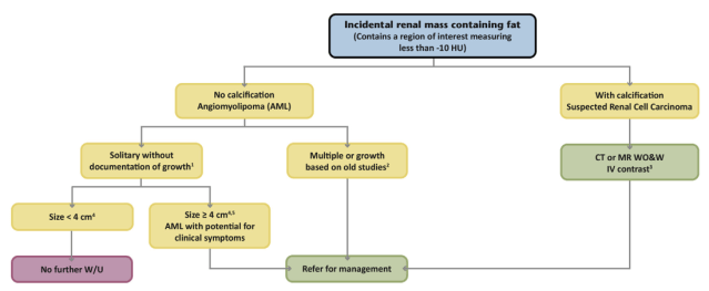 Screen Shot 2019-11-23 at 12.15.45 AM