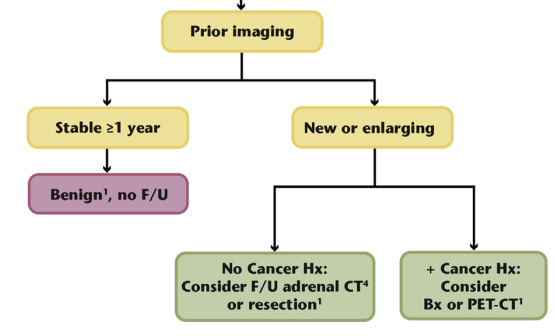 Screen Shot 2019-11-24 at 1.23.31 AM