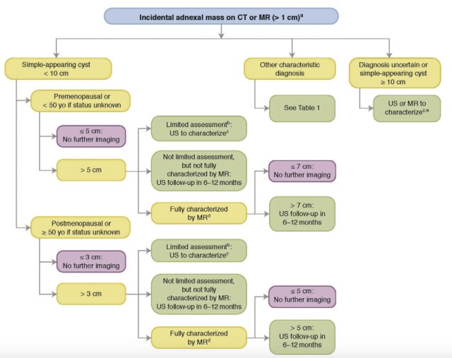 Screen Shot 2020-02-11 at 11.43.30 PM copy